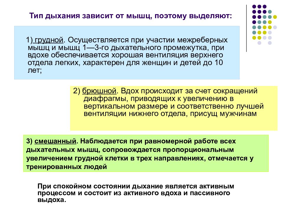 Биомеханика внешнего дыхания презентация