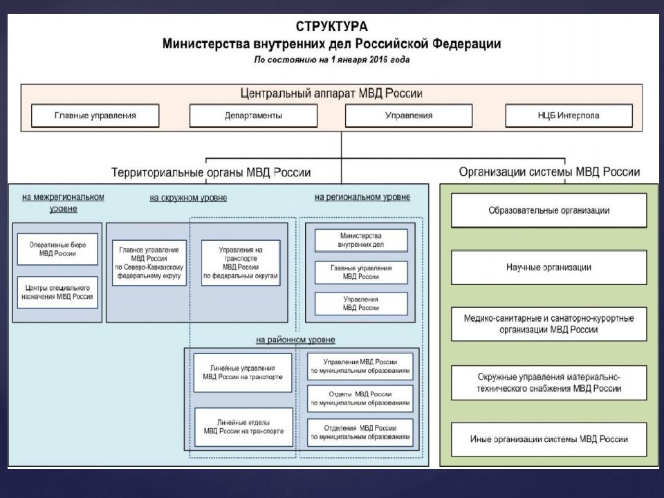 В мвд разрабатывается план