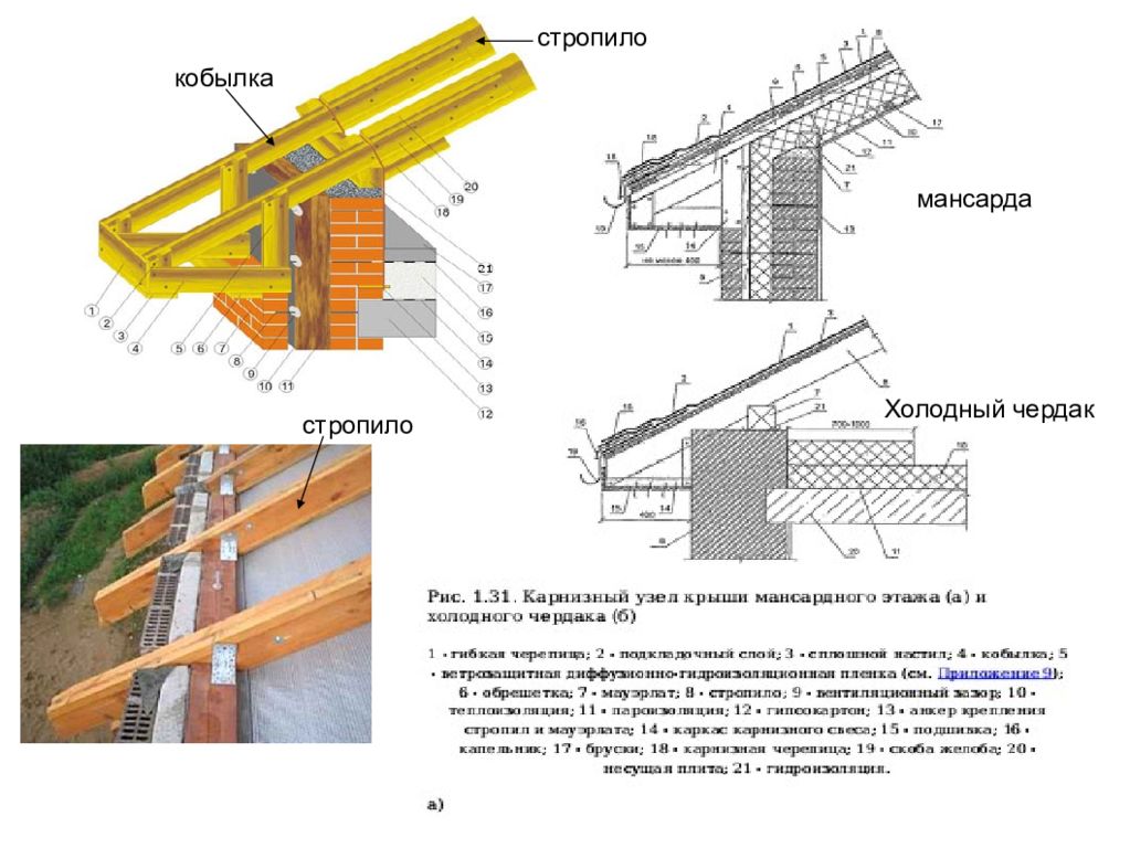 Мауэрлат снип