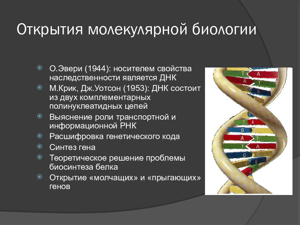 Биологическая картина мира это