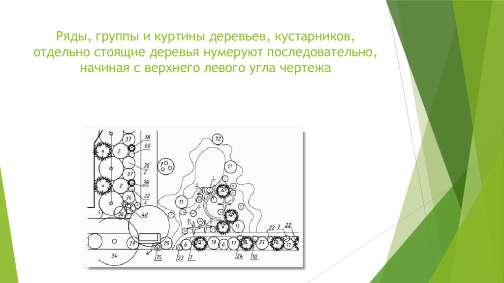 Ряд групп. Группа кустарников и деревьев посадочный чертеж. Отдельно стоящий кустарник обозначение. Куртины деревьев схема. Куртина из деревьев чертеж.