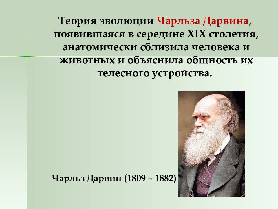 Учение чарльза дарвина об эволюции презентация