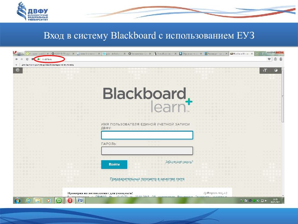 Антиплагиат двфу. ДВФУ личный кабинет. Блэкборд ДВФУ. IDM dvfu. Какие университеты пользуются системой блэкборд.