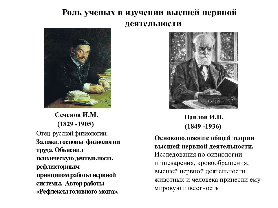 Ученые биологи. Сеченов отец русской физиологии. Основоположники рефлекторной теории психики. Теория Сеченова о рефлексах. Принципы Сеченова и Павлова.