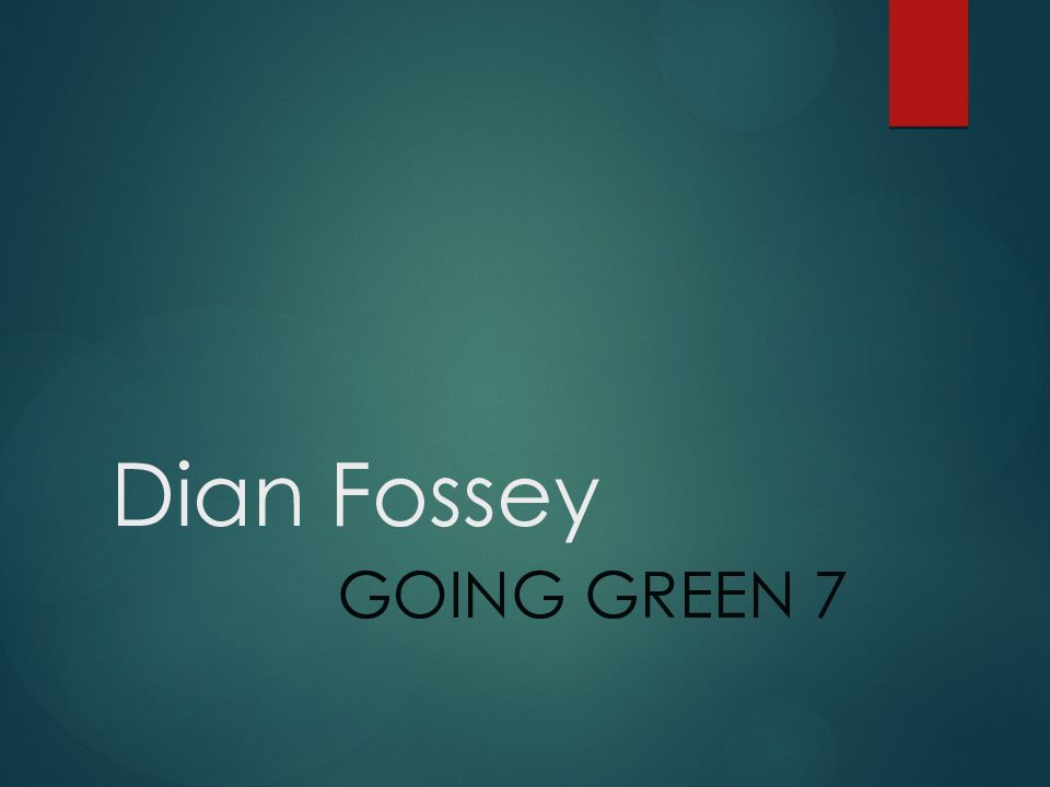 Dian Fossey
