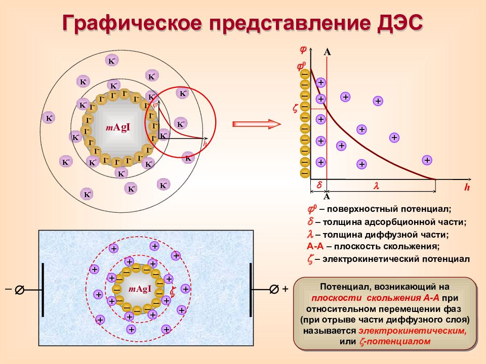 Поверхностный потенциал. Строение двойного электрического слоя мицеллы. Двойной электрический слой мицеллы. ДЭС коллоидная химия двойной электрический слой. Строение мицеллы в коллоидной химии.