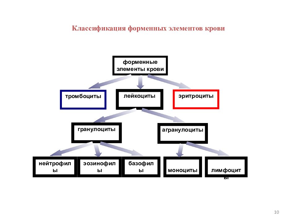 Форменные элементы крови презентация