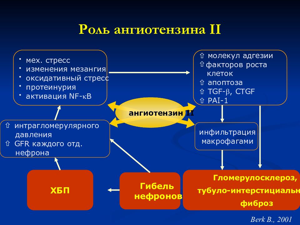 Ангиотензин ii. Превращение ангиотензина. Ангиотензин 2. Образованию ангиотензина-II. Ангиотензин функции.