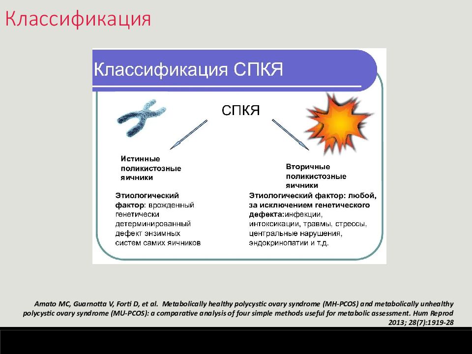 Синдром поликистозных яичников презентация