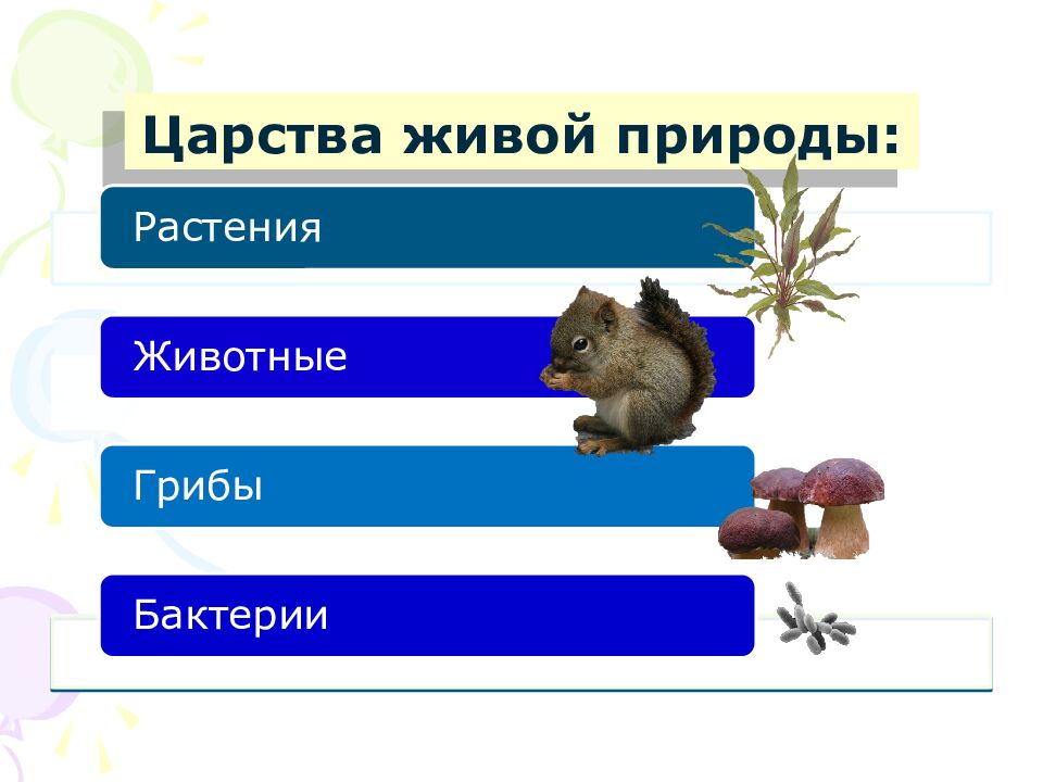 Царства живой природы: