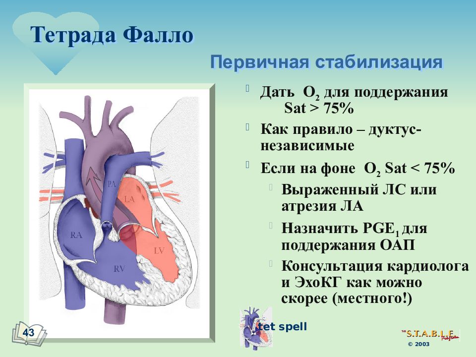 Тетрада фалло это. Клинические симптомы тетрады Фалло. Клинический симптом Тетрада Фалло. Анатомическими признаками тетрады Фалло являются. Врожденные пороки сердца болезнь Фалло.