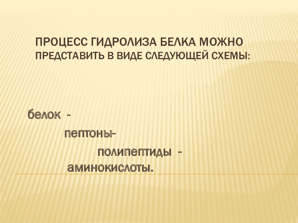Процесс гидролиза белка можно представить в виде следующей схемы: