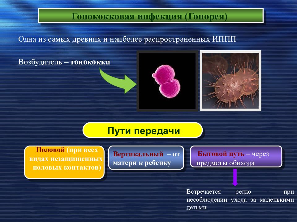 Инфекционные заболевания передающие половым путем. Гонорея ИППП возбудитель. Инфекции передаваемые пол путем возбудитель инфекции. Способ передачи инфекции гонорея. Гонорея пути передачи симптомы.