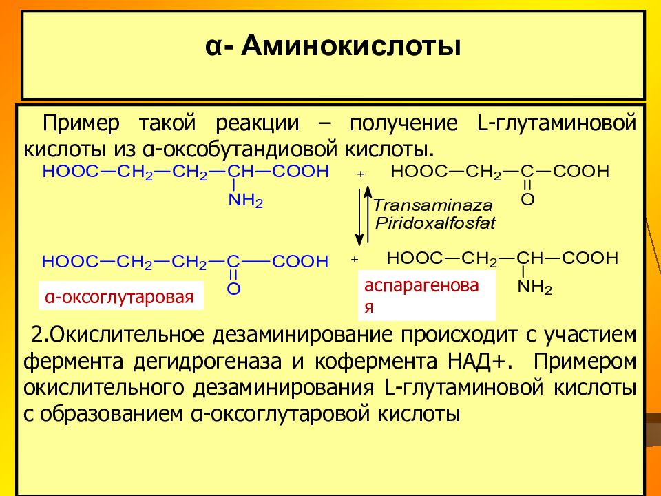 Глутаминовая кислота аналоги. Хлоропреновый каучук реакция полимеризации. Полимеризация хлоропренового каучука. Реакции присоединения с непредельными карбоновыми кислотами. Хлоропреновый каучук мономер.