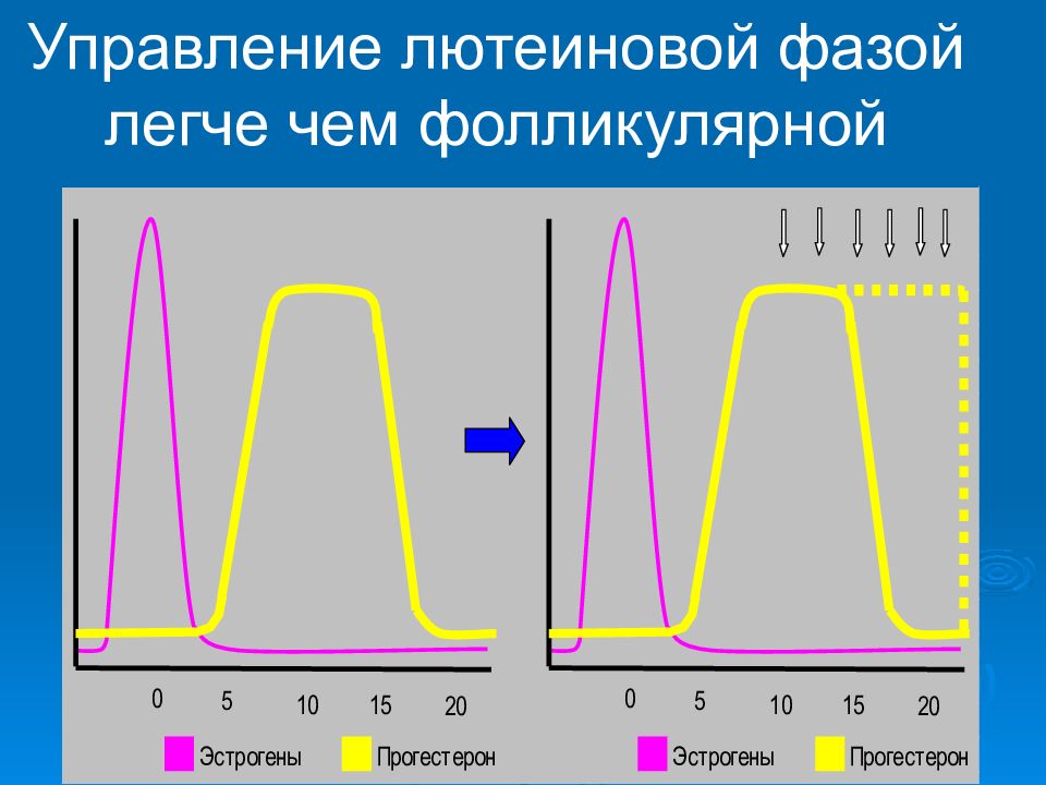 Лютеиновая фаза это. Лютеиновая фаза. Полноценная лютеиновая фаза характеризуется. Лютеиновая фаза что это такое у женщин. Середина лютеиновой фазы что это.