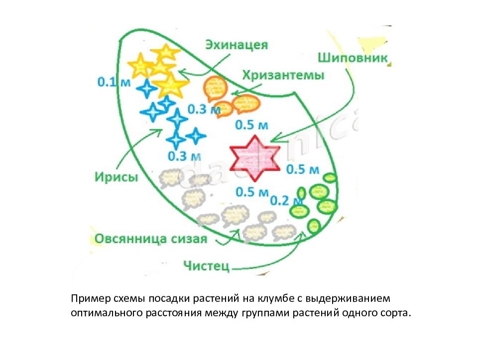 Цветы энимал кроссинг схема