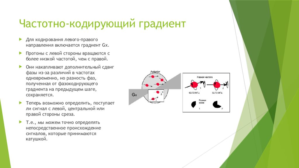 Включи в направлении. Частотное кодирование мрт. Фазовое частотное кодирование мрт. Частоту кодирующий градиент мрт. Фазо кодирующий градиент.