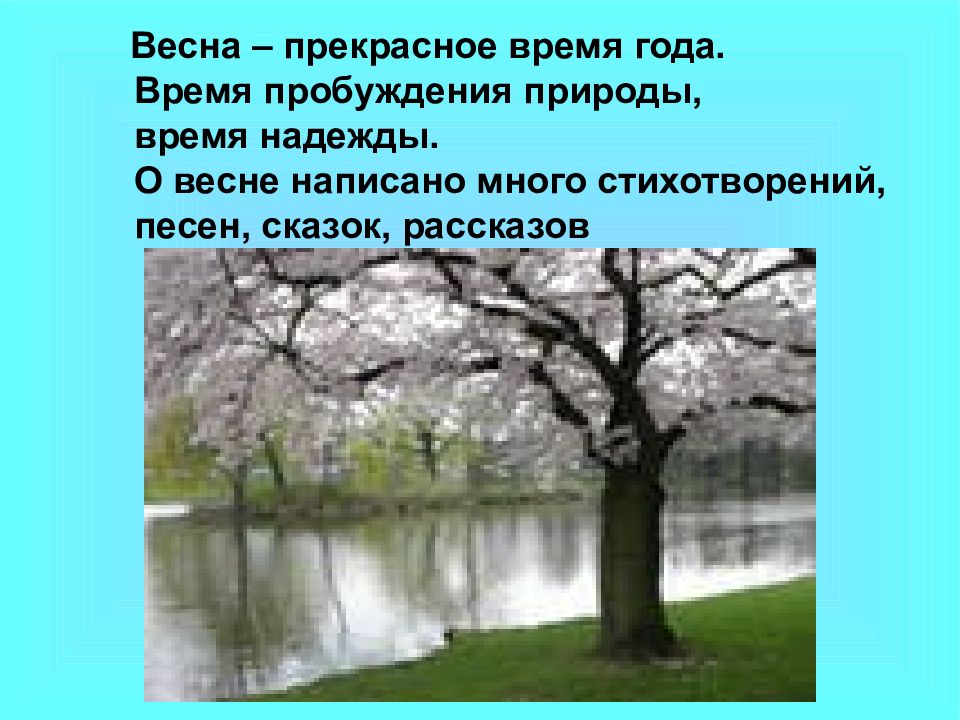 Время весны рассказ. Весна прекрасное время года текст. Рассказ о заповеднике 3 класс.