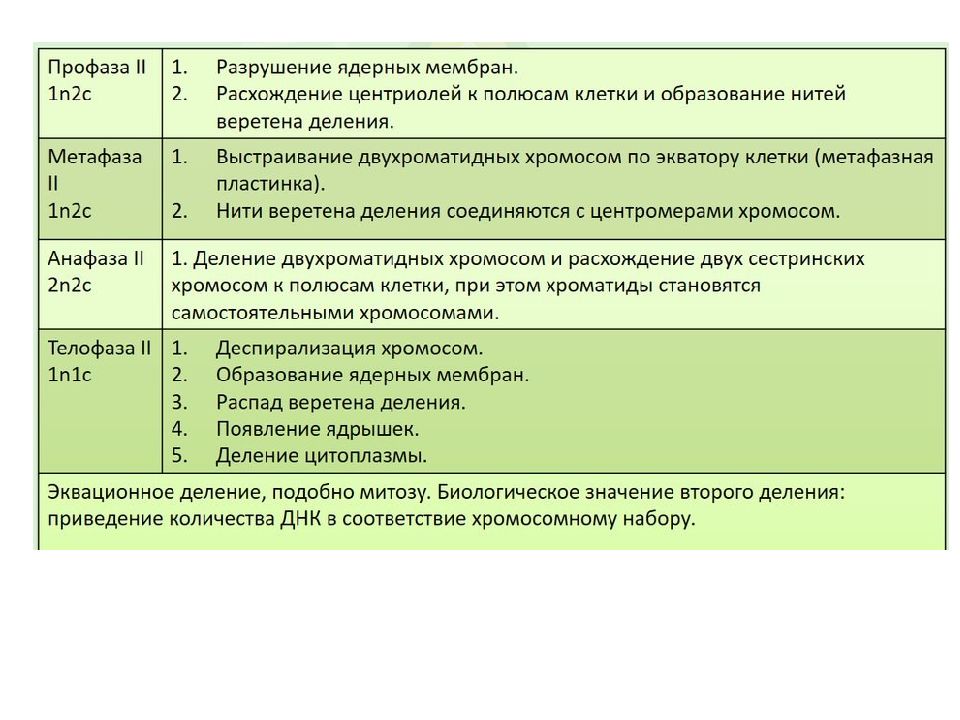 Презентация подготовка к егэ по биологии 11 класс