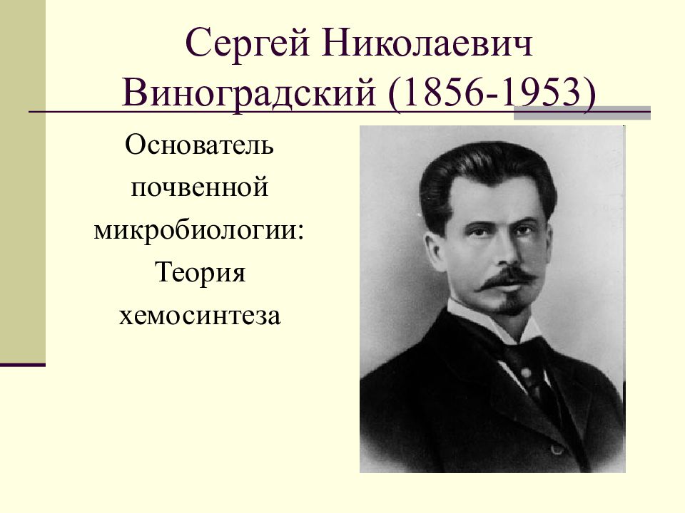 Виноградский. Сергей Николаевич Виноградский (1856-1953). Сергей Виноградский микробиология. Виноградский Сергей Николаевич презентация. Виноградский ученый.