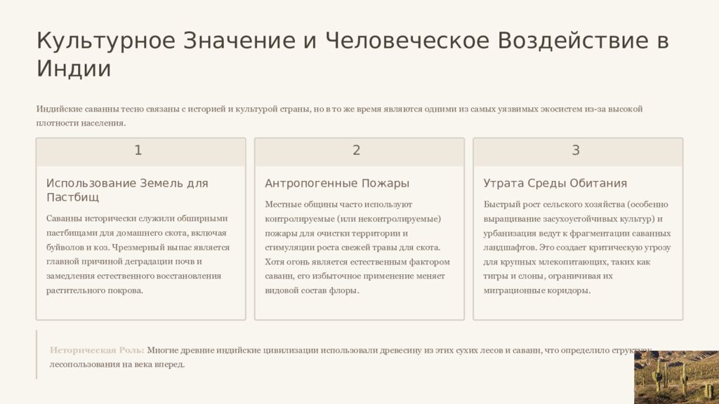 Саванны Индии и Мексики: Сравнительный Анализ Двух Тропических Экосистем Это