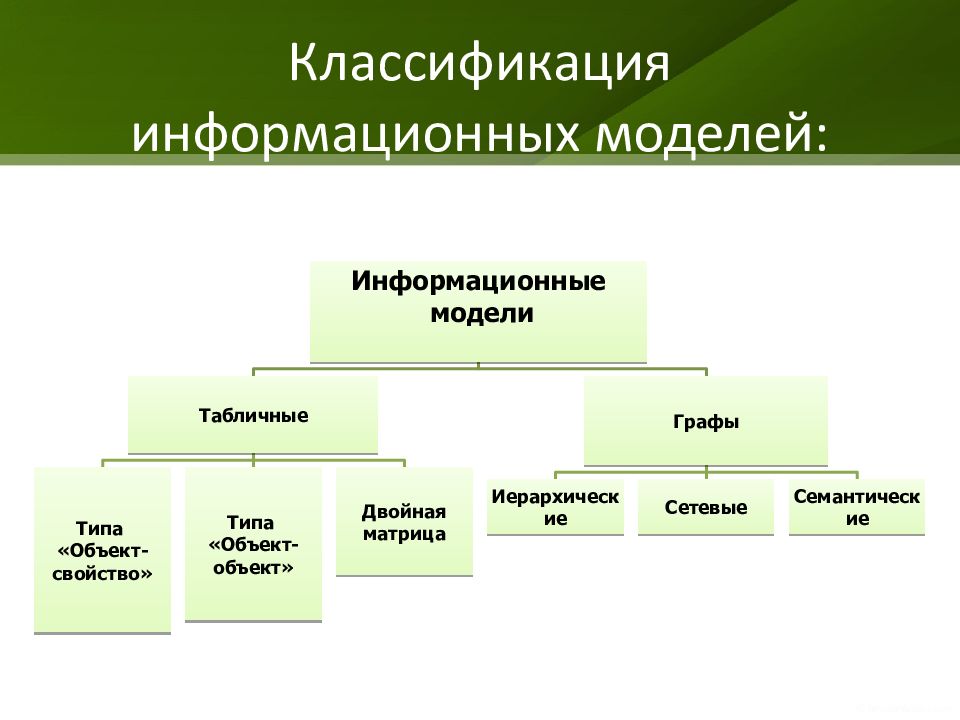 Классификация моделей. Типы информационных моделей. Сетевая информационная модель. Модель и моделирование.