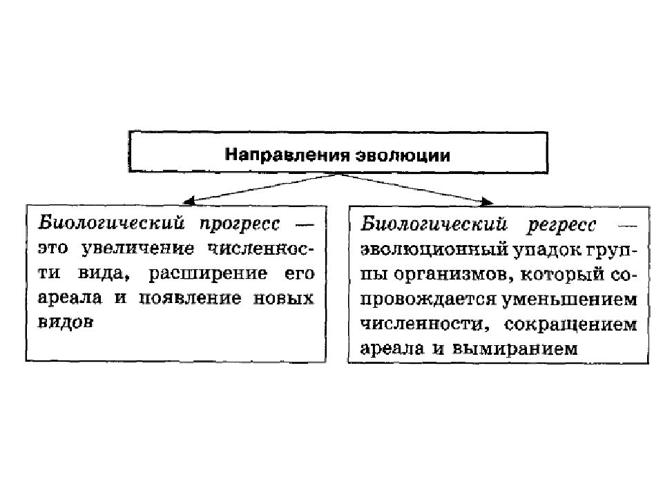 Схема биологического прогресса и регресса