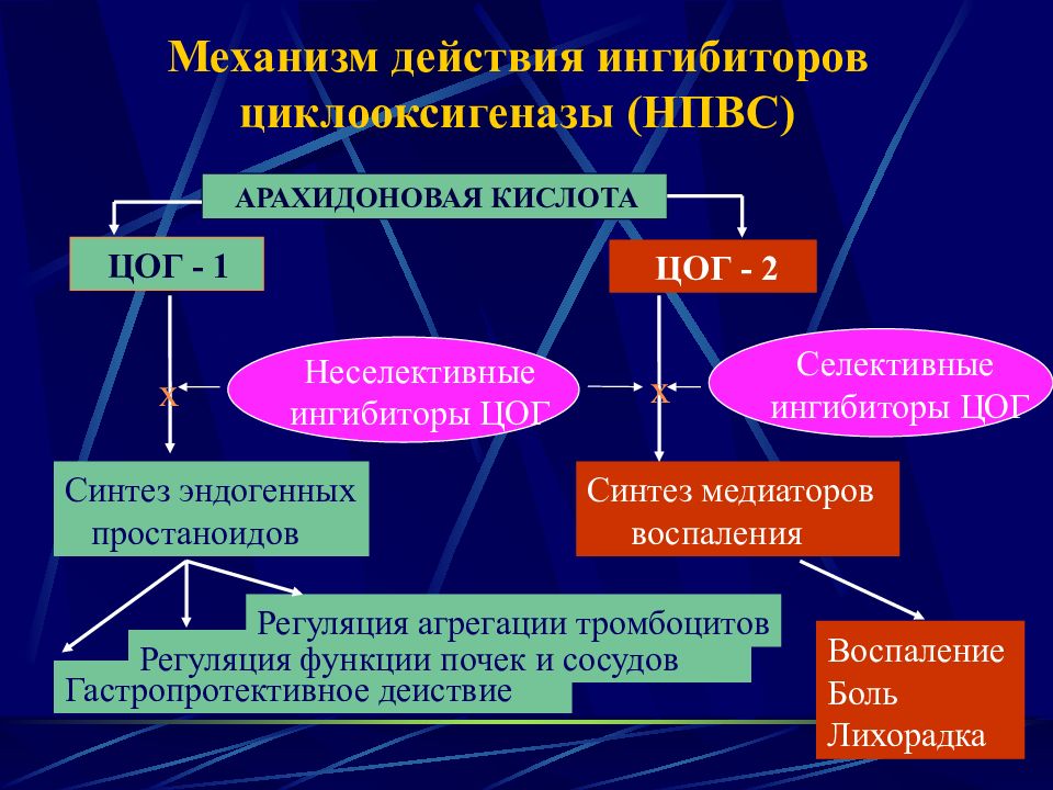 Основной механизм действия. Механизм анальгезирующего действия НПВС. Механизм ингибирования ЦОГ. Механизм действия НПВП. Нестероидные противовоспалительные препараты механизм действия.