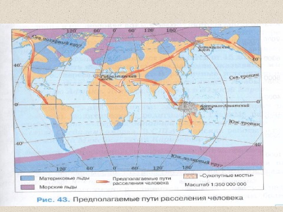 Население земли 6 класс география презентация