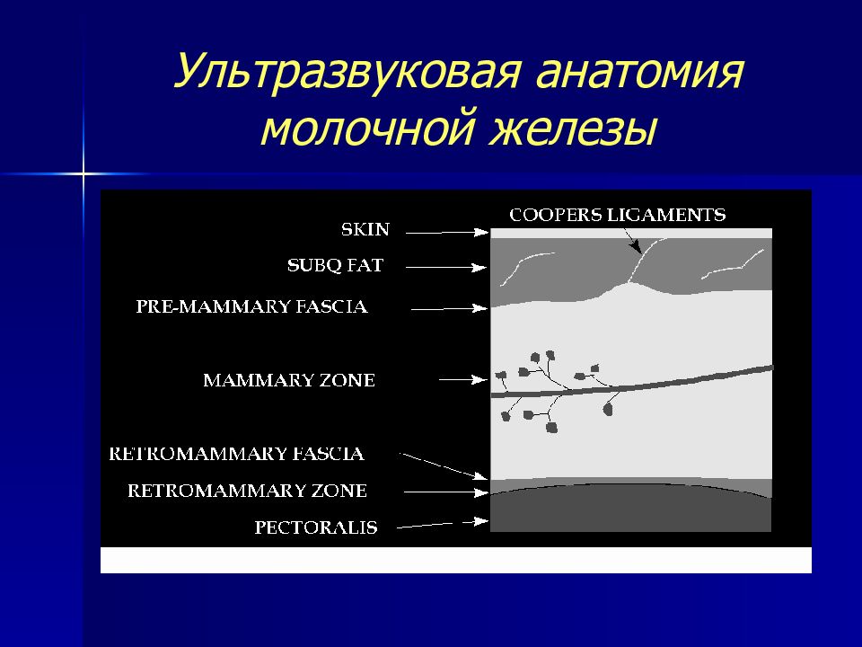 Абсцесс молочной железы карта вызова