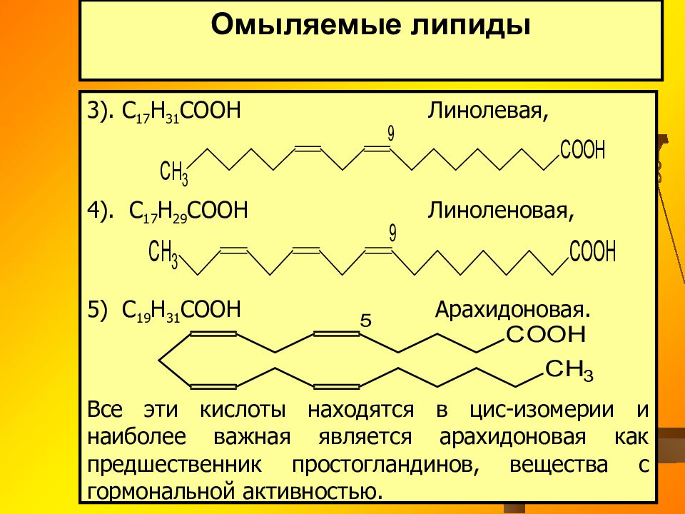 Линолевая кислота свойства. Олеиновая кислота линолевая кислота. Липид с линоленовой кислотой.