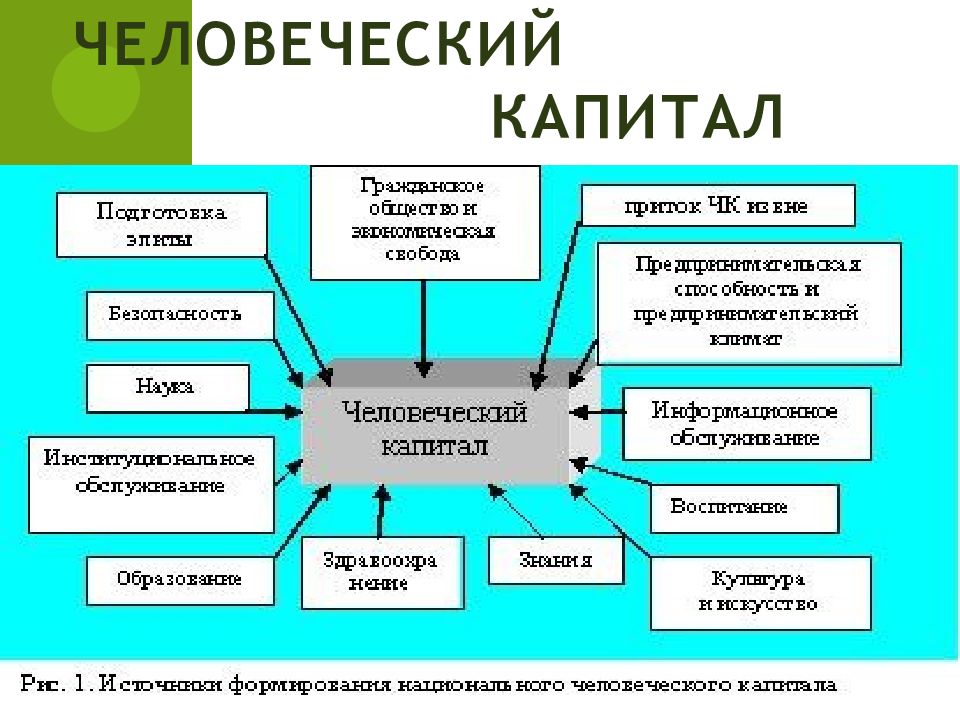 Человеческий капитал презентация