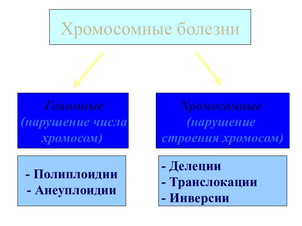 Нарушения структуры хромосом. Полиплоидия и анеуплоидия. Болезни при анеуплоидии.