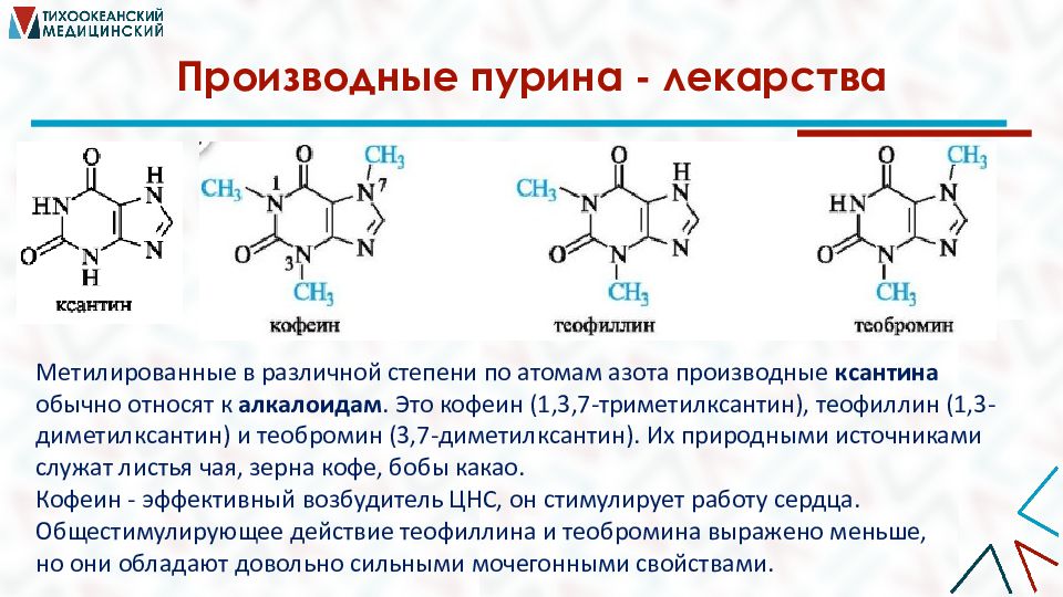 Система пурина