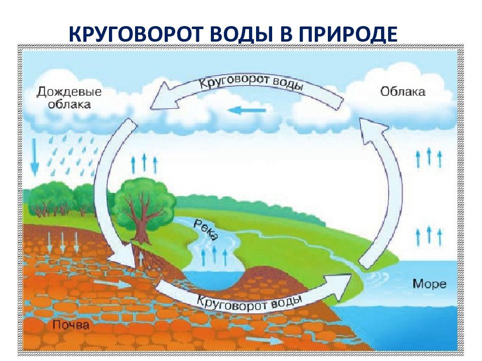 Какими буквами на схеме круговорота воды отмечены испарение перенос влаги осадки реки подземные воды