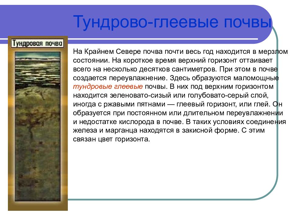 География почв. Тундрово-глеевые почвы России. Тундрово-глеевые почвы характеристика. Тундровая глеевая почва в России. Тундрово-глеевые почвы распространение.