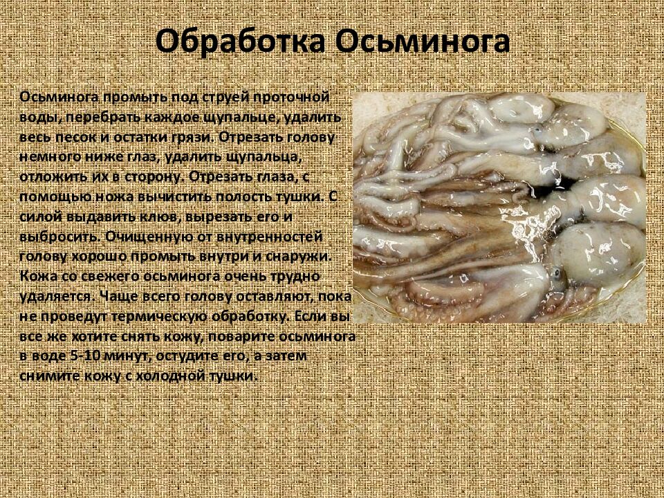 Обработка Осьминога