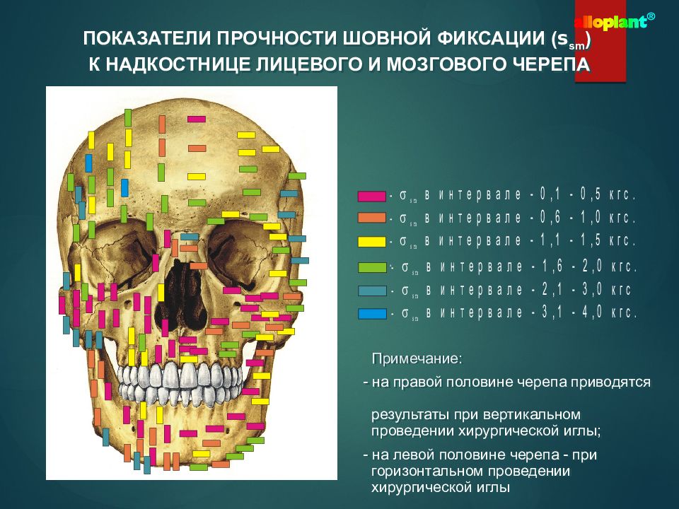 Презентация развитие памяти в онтогенезе