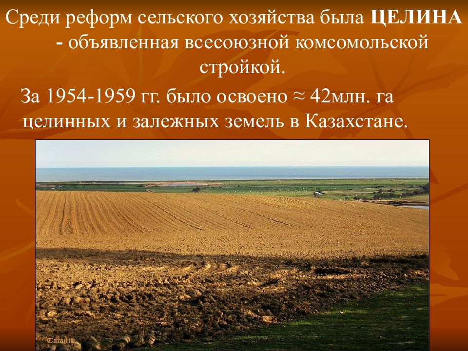 Целина при Хрущеве. Целина 1954 Хрущев. Целина реформа Хрущева Казахстан сельское хозяйство. Реформа Целина. Начало реформ в сельском хозяйстве год