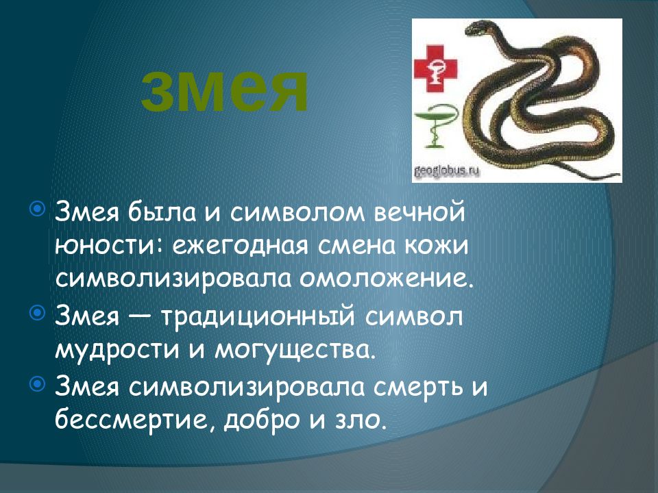 Змея значение символа. Змея символ чего. Змея в медицине символ что означает. Змей символ чего. Змеи в медивмне символы.