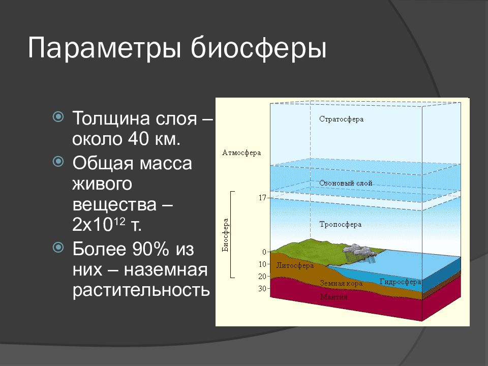 Биологическая картина мира это