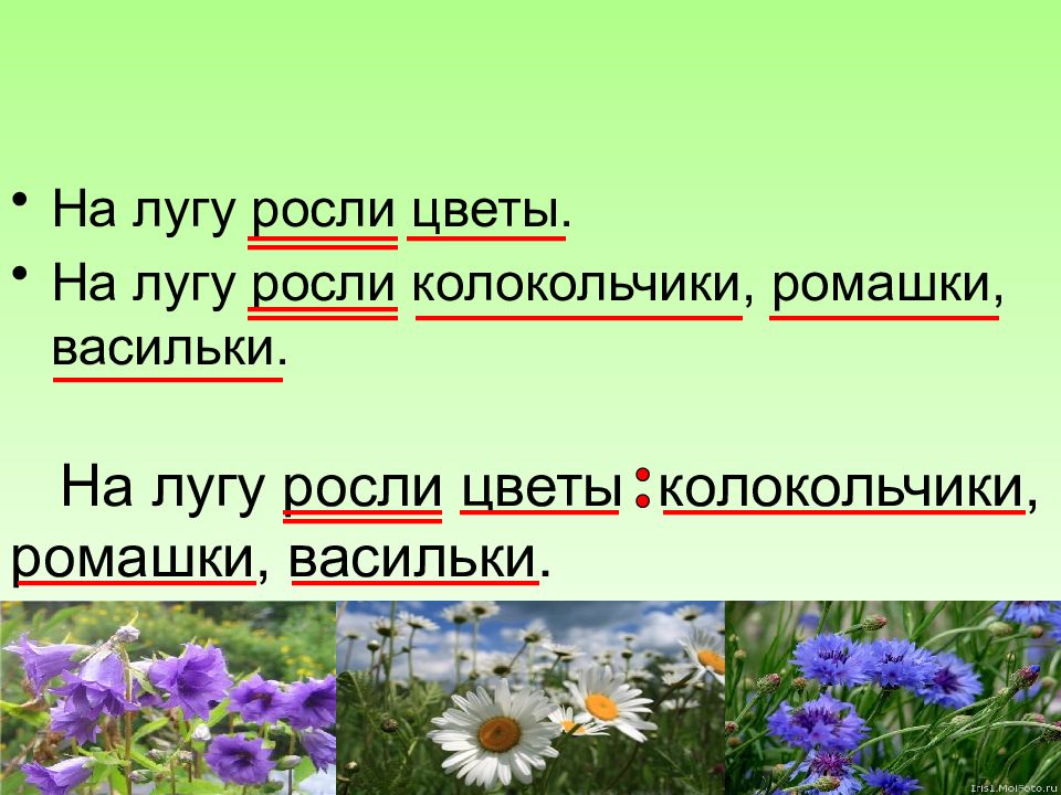 Вокруг каждого дома росли цветы маргаритки ромашки одуванчики схема предложения