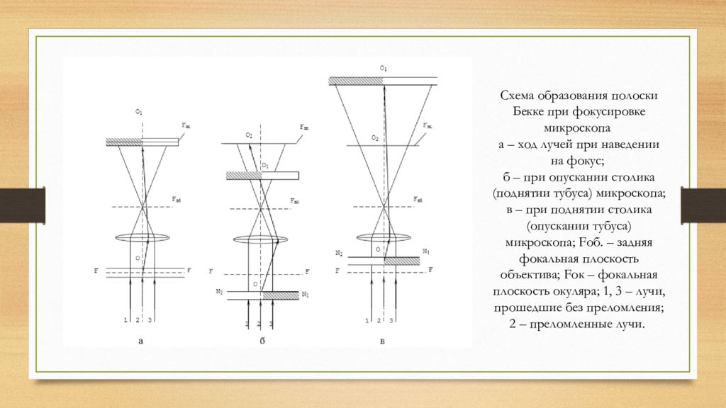 Схема хода лучей в биологическом микроскопе при изучении кристаллизации капли раствора соли