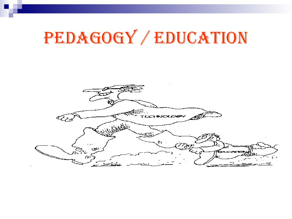 PEDAGOGY / Education