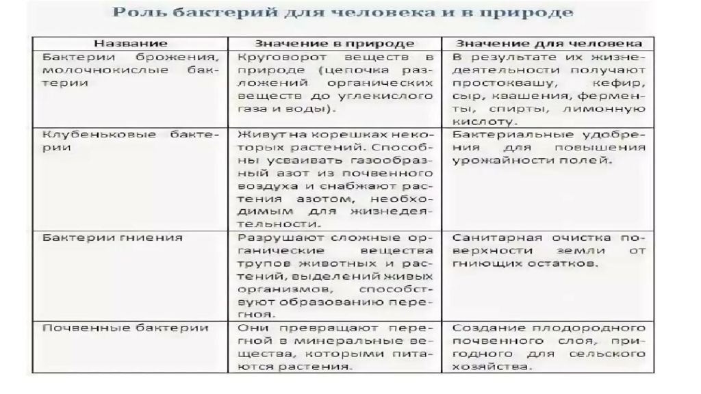 Санитария и гигиена матюхина. Основы микробиологии,санитарии и гигиены значение терминов.