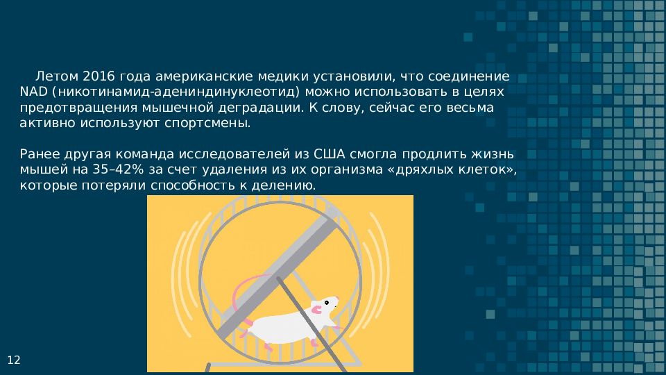 Проект старение человека и возможность бессмертия