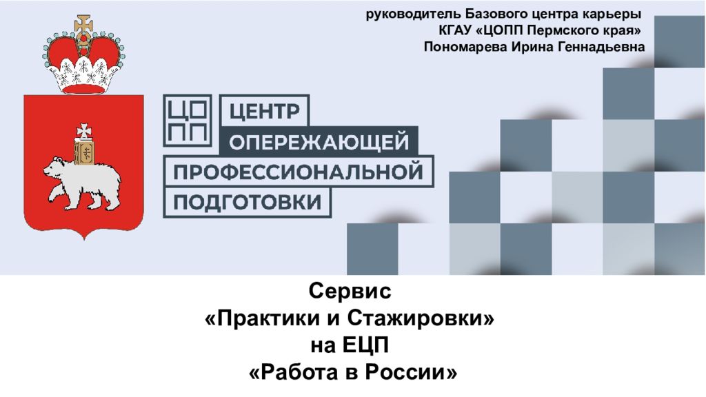Сервис «Практики и Стажировки» на ЕЦП «Работа в России» руководитель Базового