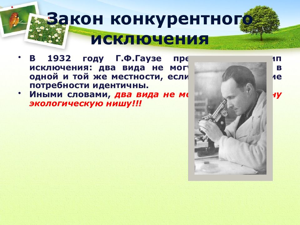 Конкурентное исключение гаузе. Принцип конкурентного исключения Гаузе. Закон конкурентного исключения Гаузе. Закон Гаузе (принцип конкурентного исключения). Правило конкурентного исключения Гаузе.