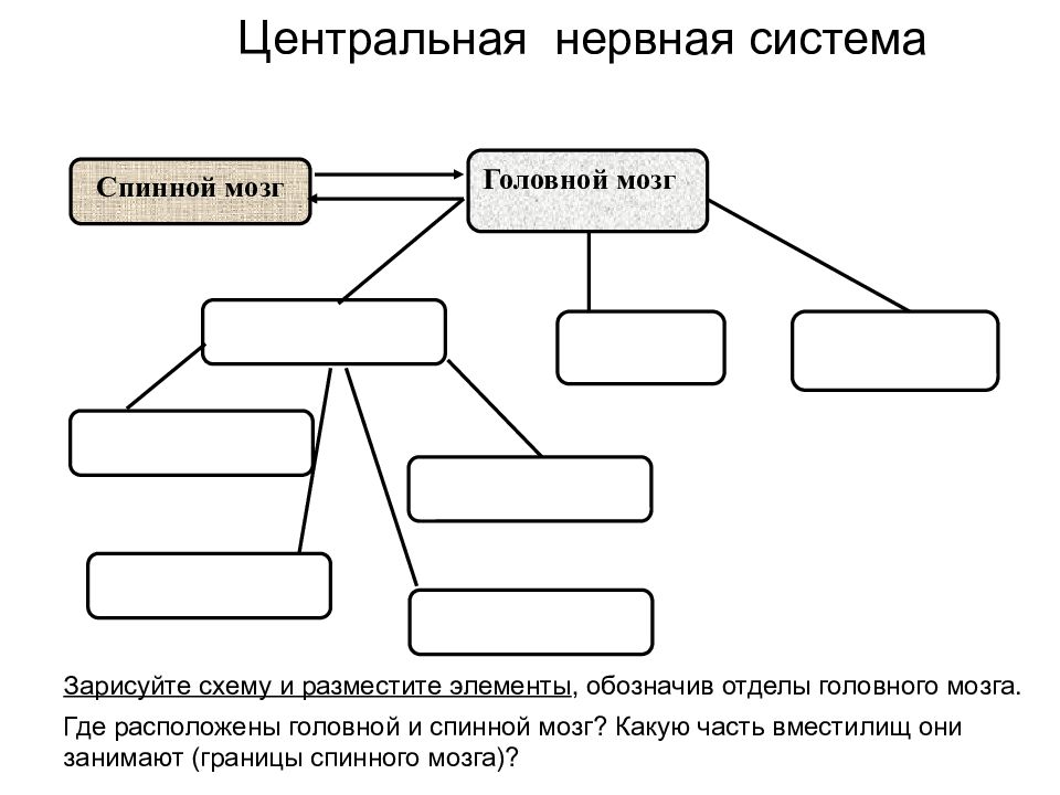 Перед вами схема устройства технической системы расставьте элементы схемы на картинке