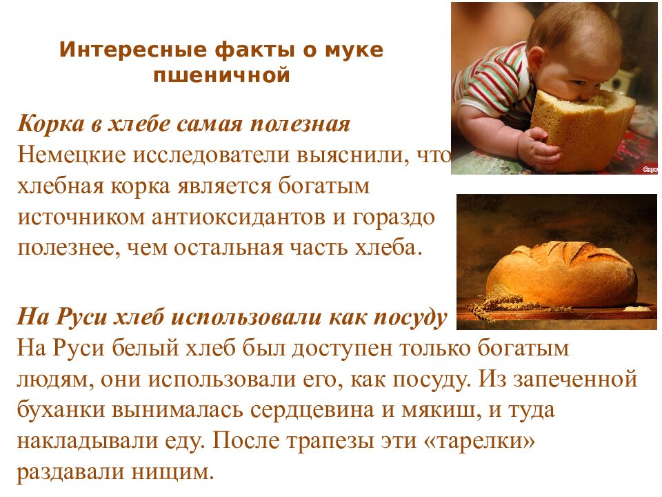 Интересные факты о муке пшеничной